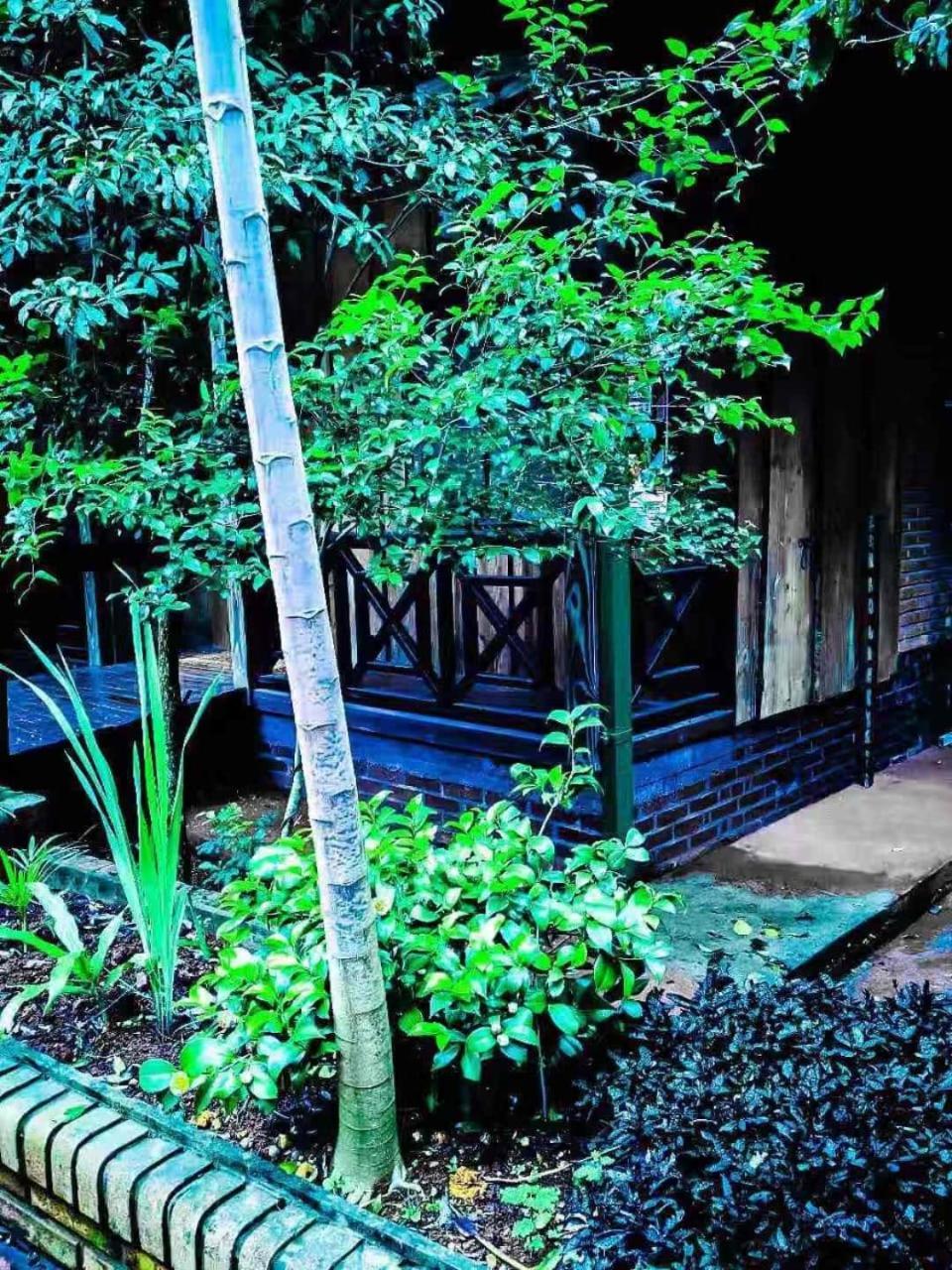 Palo Rosa Lodge بويرتو إجوازو المظهر الخارجي الصورة